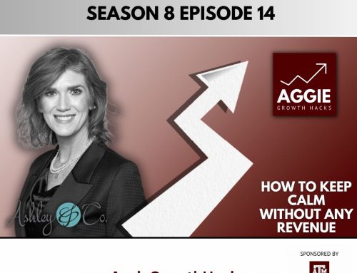 Season 8 Episode 14 – How to Keep Calm Without Any Revenue with Ashley Sanders